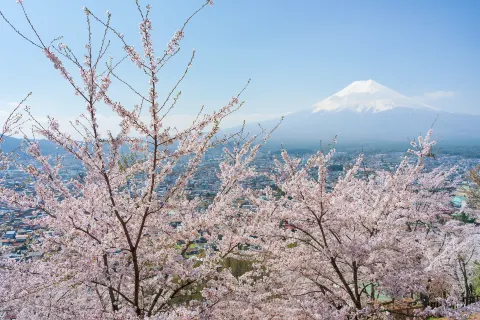 Arakurayama Sengen Park