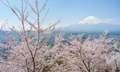 Arakurayama Sengen Park