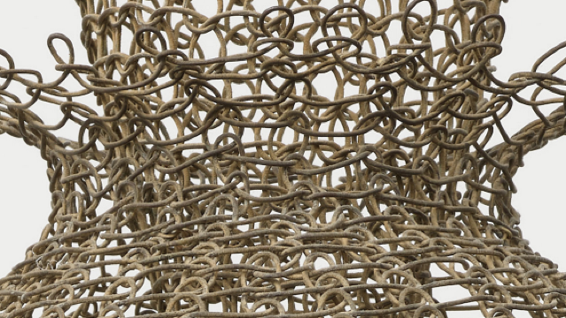 Ruth Asawa A Retrospective