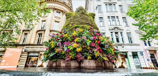 The Manchester Flower Festival | Manchester