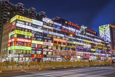 대학성 인기 벽