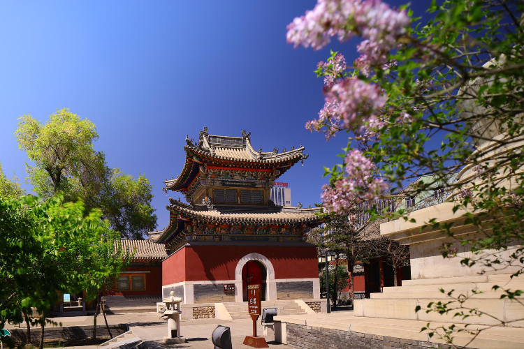 Dazhao Temple / Saishang old street