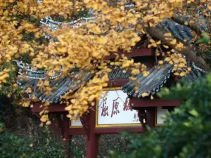 Popular Fall Viewing Attractions in Zigui