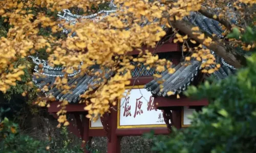 Qu Yuan's Hometown Cultural Tourism Zone