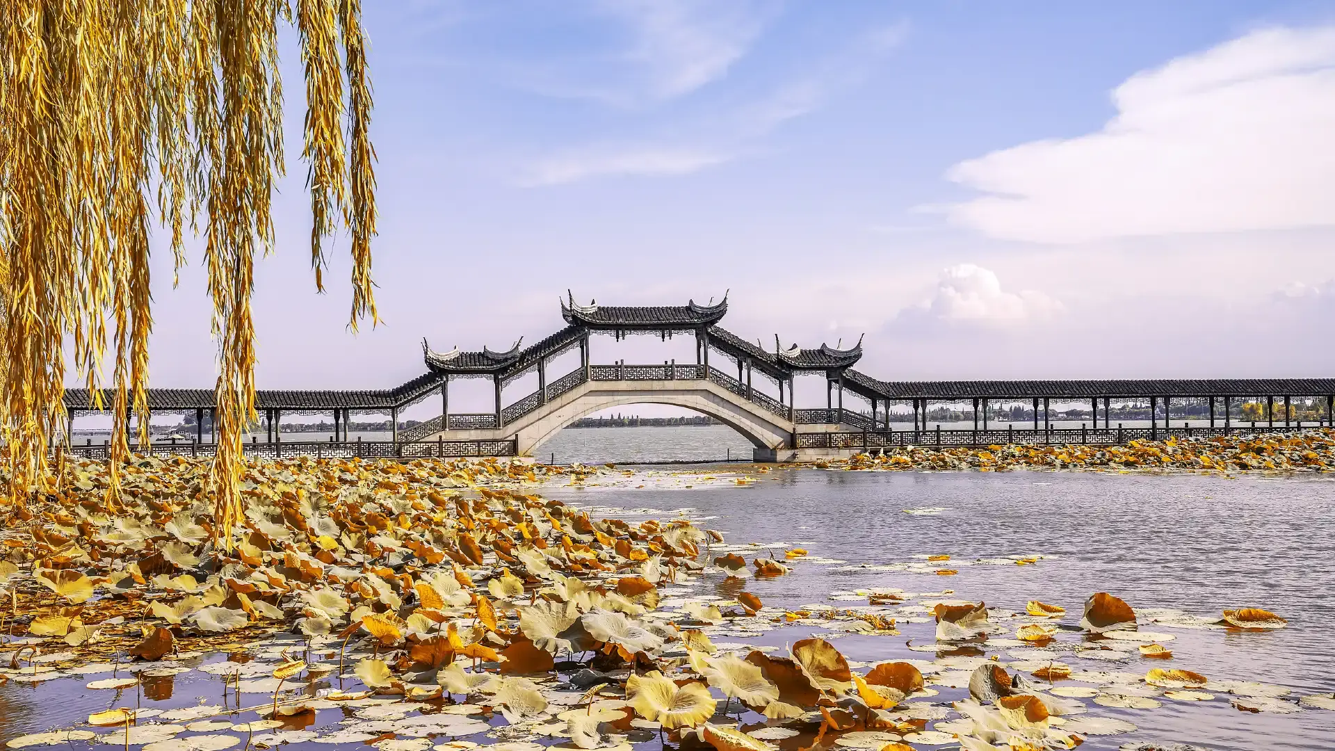 Hotels near Jinxi Town