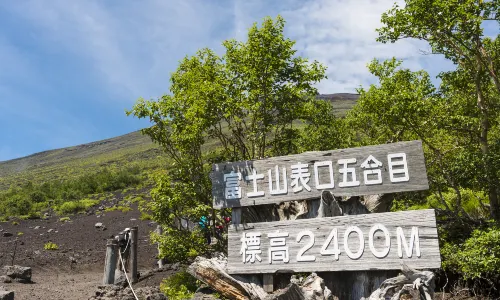 후지산 5합목
