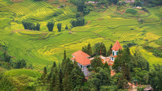 Sapa