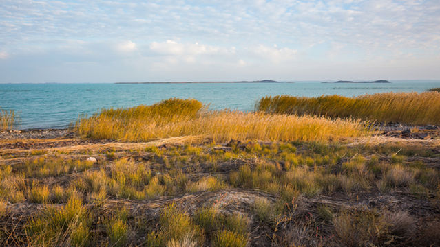 Lake Balkhash