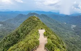 Jianfengling National Forest Park