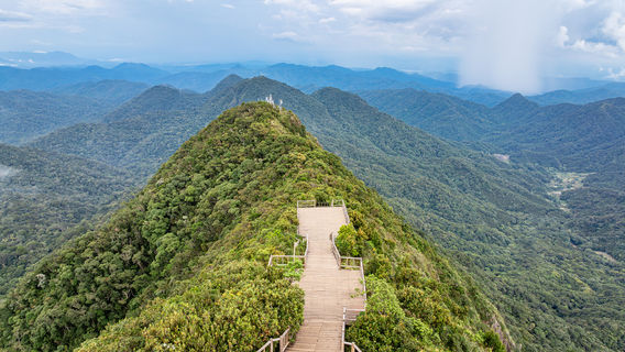 Jianfengling National Forest Park