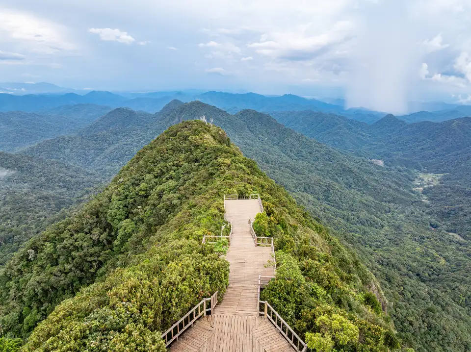 1_Jianfengling National Forest Park