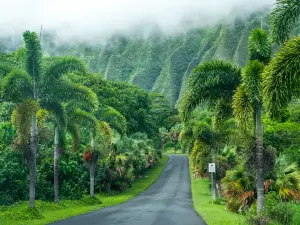 ホオマルヒア植物園
