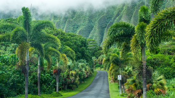 Hoʻomaluhia Botanical Garden