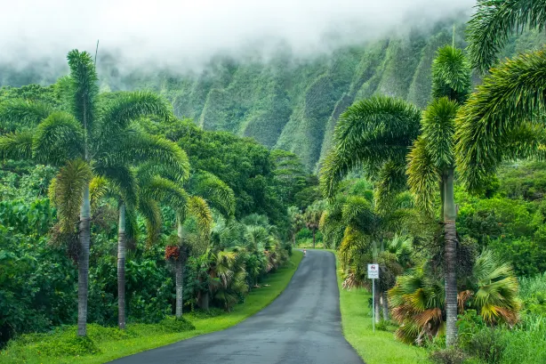 Hoʻomaluhia Botanical Garden