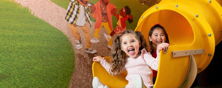 Sesame Street Learn & Play