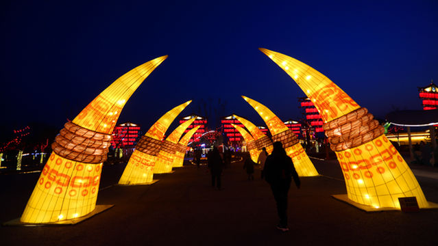 2026 Hengshui Lake Spring Festival Lantern Fair