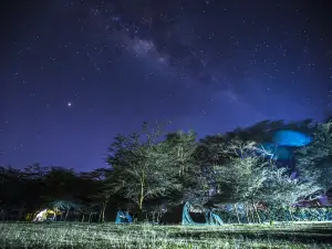 Popular Night Attractions in Kenya
