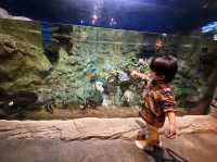 睇靚景、玩遊戲！香港海洋公園親子游