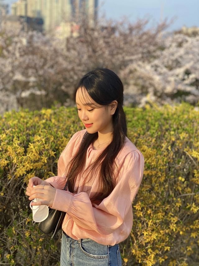 < 대구, 봄 향기 가득 수성못>