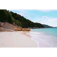 Turtle Sanctuary Beach