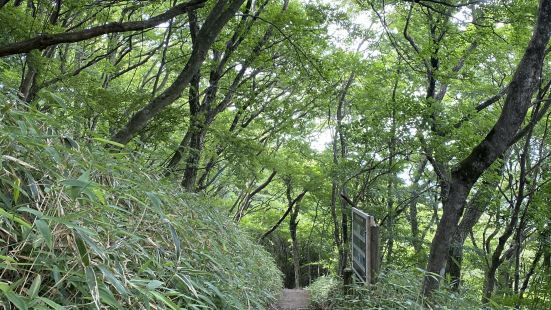 風景好，植物茂盛，筑波神社和巴士終點站叫什麼杜鵑的兩地都有纜