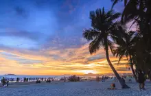 Coconut Dream Corridor