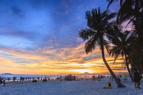 Coconut Dream Corridor