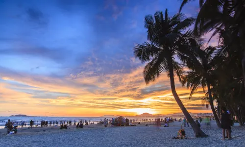 Coconut Dream Corridor