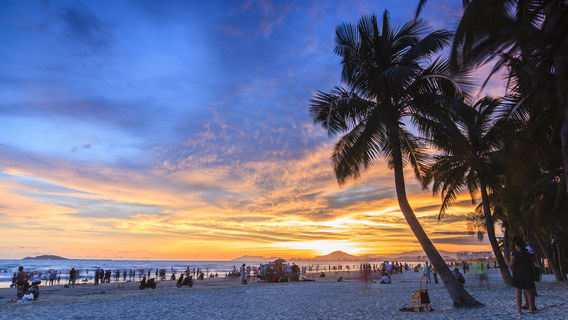 Coconut Dream Corridor