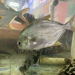海湾美食园 User Photo