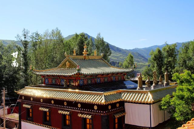 禪定寺