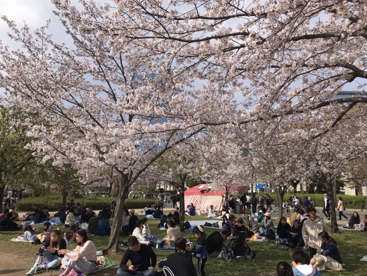 Osaka Castle Nishinomaru Garden Travel Guidebook Must Visit Attractions In Osaka Osaka Castle Nishinomaru Garden Nearby Recommendation Trip Com Osaka Castle Nishinomaru Garden Travel Guidebook Must Visit Attractions In Osaka Osaka Castle Nishinomaru Garden Nearby Recommendation Trip Com