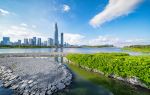 Area C, Shenzhen Bay Park