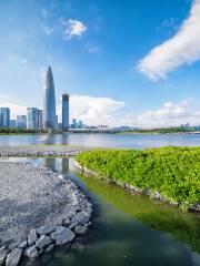 深圳湾公園C区-運動公園