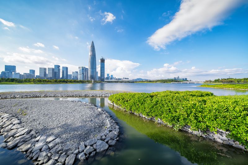 Area C, Shenzhen Bay Park