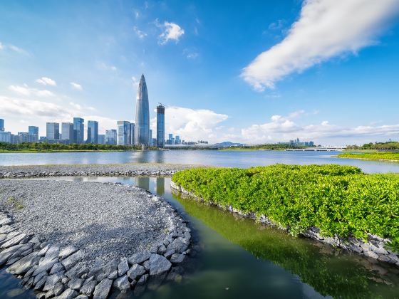 Area C, Shenzhen Bay Park