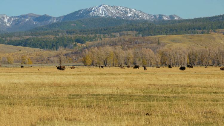 Compare 5 airports near West Yellowstone