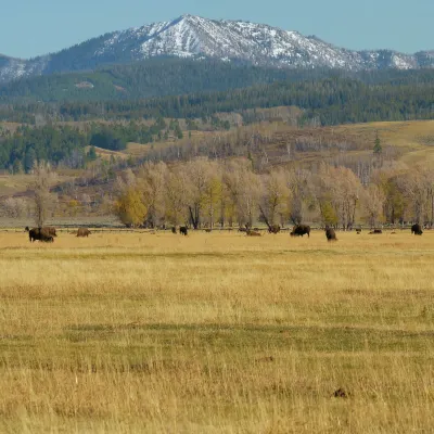 โรงแรมใกล้Bozeman Sculpture Park