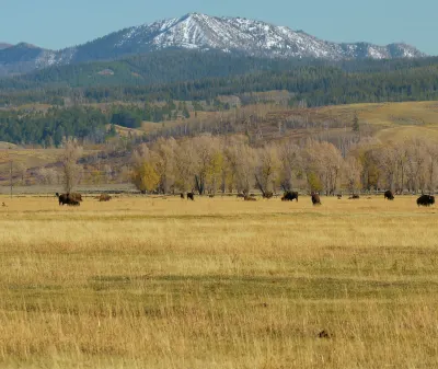 Hotels near Cabela's