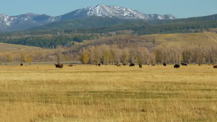 West Yellowstone