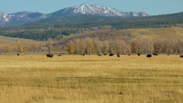 Vé máy bay đi West Yellowstone