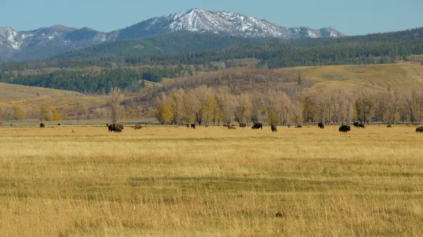 Vuelos a West Yellowstone