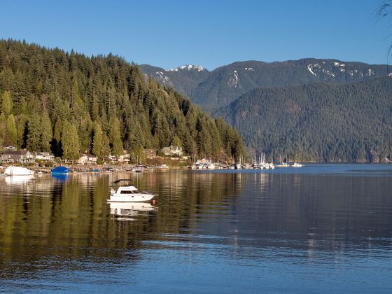 Grouse Mountain Peak