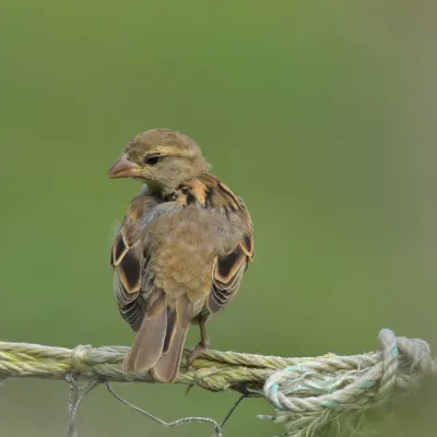 Отзывы об отеле The Biscayne Hotel