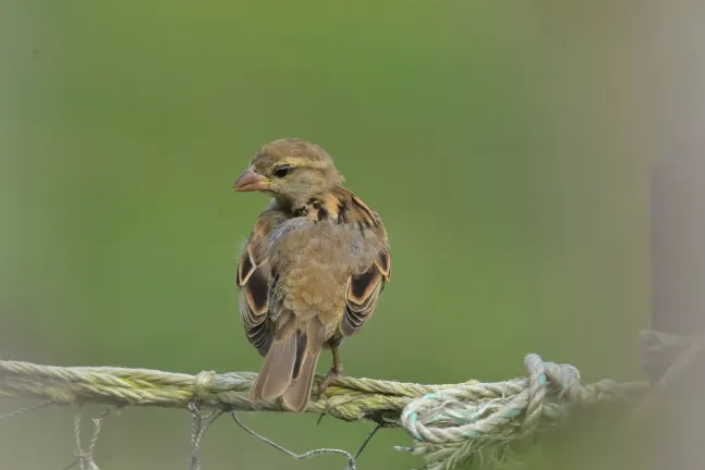 Отели с услугой Интернет в г. Ки-Уэст