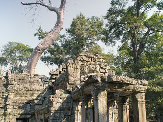 Preah Khan Temple