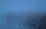 Beijing Wild Duck Lake National Wetland Park