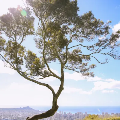 Отзывы об отеле FIRST CABIN INTERNATIONAL HAWAII