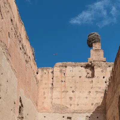 Haustierfreundliche-Hotels in Essaouira