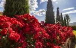 Dalat Flower Park